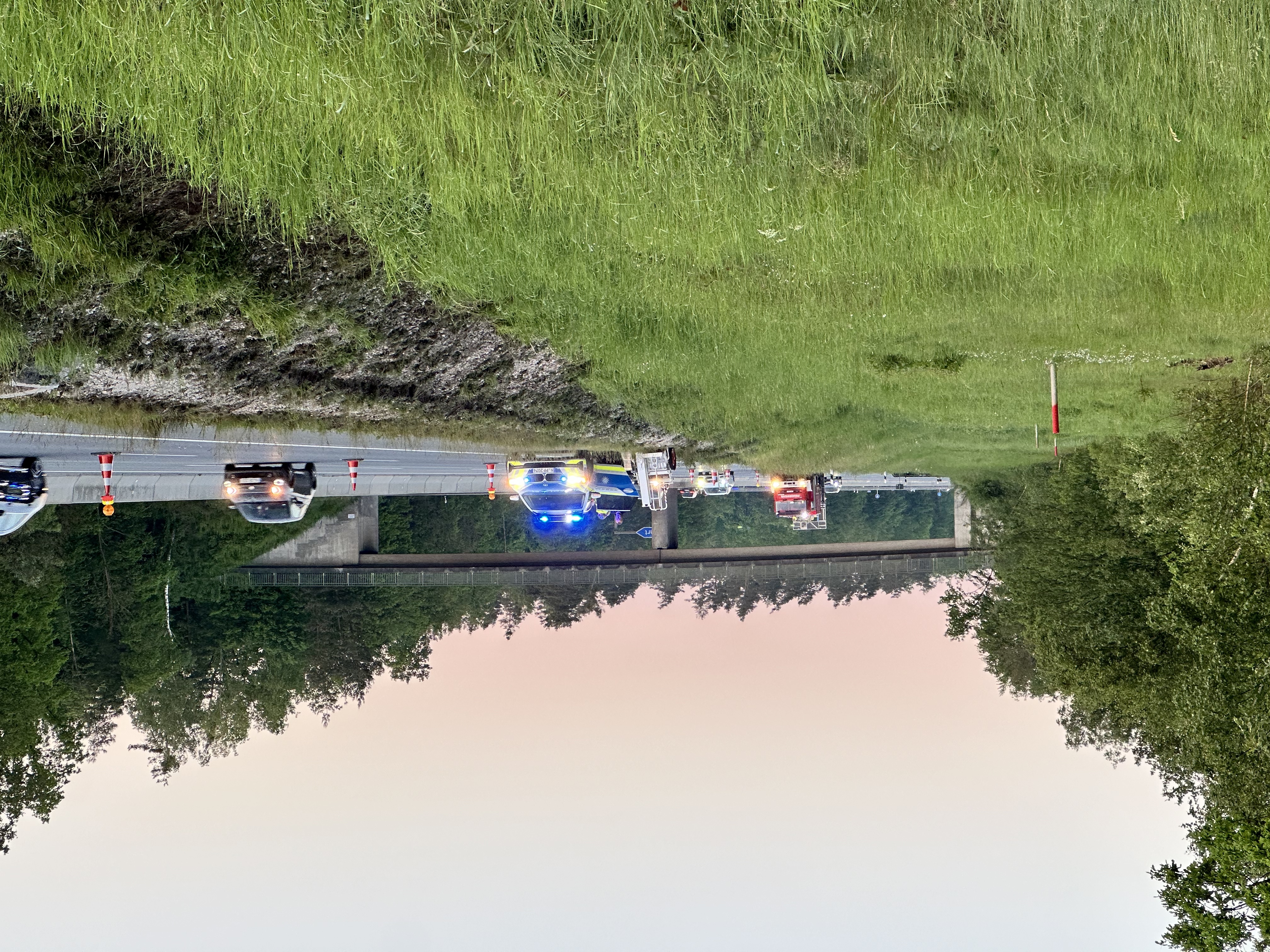 Delfino 05 249505.jpg